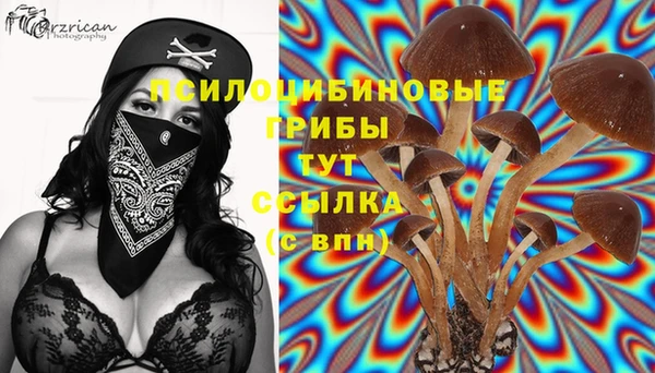 ешки Алексин